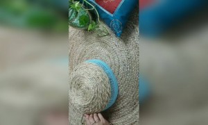 ಹೇಗಿದೆ ಈ ವಿಡಿಯೋ