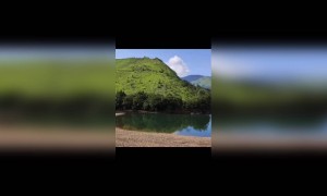 ಹೊಳೆಯಂಚಿನ ಸಾಲು