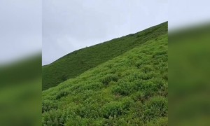 ಪೃಕೃತಿಯ ಮಡಿಲಲ್ಲಿ