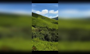 ಹಸಿರು ಬನಗಳ ತಂಪು ನದಿಗಳ ನಾಡಿದು