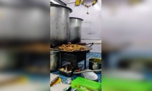 ಇಡೀ ಜನುಮವೇ ದೊರಕಿದೆ