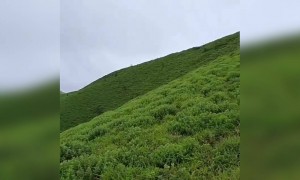 ಹಸಿರ ನಾಡು