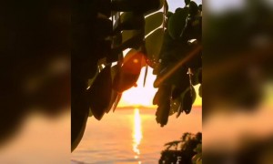 ಮುಂಜಾನೆಯ ಹೊಸ ಬೆಳಕು