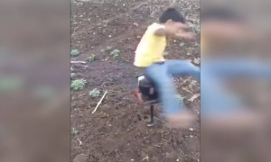 ಏನ್ ತರ್ಲೆ ಇದು ?