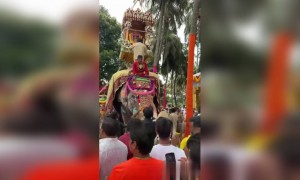 ಮೈಸೂರು ದಸರಾ ಉತ್ಸವ