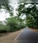 ಪ್ರಕೃತಿಯ ಸೊಬಗು.....