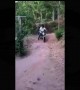 ಈ ದೃಶ್ಯ ನೋಡಿ ಬಿದ್ದು ನಗ್ತೀರಾ ,,,,,!!!