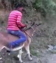 ಈ ಕತ್ತೆ ಸವಾರಿಯನ್ನು ಒಮ್ಮೆ ನೋಡಿ