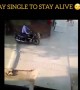 ಈ ಫನ್ನಿ ವೈರಲ್ ನೋಡಿ ಖುಷಿ ಪಡಿ