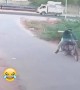 ಸೈಕಲ್ ಅಡ್ಡ ಬಂತಾ ಹಾವು ಅಡ್ಡ ಬಂತ ...???