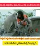 ಇನ್ನು ಮಾನವೀಯತೆ ಇದೆ ....!!!