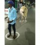 ಜನರ ಪರಿಸ್ಥಿತಿ ಹಸುವಿಗೂ ಗೊತ್ತಾಗಿದೆ ....!!
