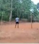 ಫನ್ನಿ ವೈರಲ್ .....