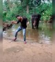 ಕೊನೆಗೆ ಆನೇನೂ ಟಿಕ್ ಟಾಕ್ ಮಾಡೋಕೆ ಶುರು ಮಾಡಿದೆ