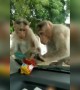 ಪ್ರಾಣಿಗಳಿಗೆ ಈ ತೊಂದ್ರೆ ಮಾತ್ರ ಕೊಡ್ಬೇಡಿ .....!!!