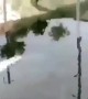 ನೀರಿನಲ್ಲೂ ಚಲಿಸುವ ರೈಲು ಇದು ನಿಜವೇ ...????