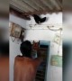 ಇತಿಹಾಸದಲ್ಲೇ ಮೊದಲ ಬಾರಿಗೆ ....!!!!