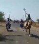 ಕುದುರೆ ಸವಾರಿ