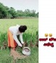 ಪೋಲೀಸರ ಭಯ ಅಂದ್ರೆ ಹಿಂಗಿರ್ಬೇಕು .....!!!