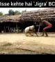 ಅಬ್ಬಾ ಈ ಮನುಷ್ಯ ಅದೆಷ್ಟು ಗಟ್ಟಿ ಇದ್ದಾರೆ ...!!!