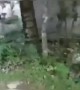 ಪಾಪ ಹೆಂಗ್ ತಡ್ಕೊಬೇಕು ಜೀವ ....!!!