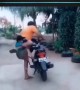 ಇಂಥ ಕಲೆಗಾರರು ಭಾರತದಲ್ಲಿ ಮಾತ್ರ ಸಿಗೋದು ,,,,,!!
