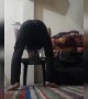 ಚೇರ್ ಮೇಲೆ ಸಾಧನೆ ....