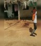 ಕೊನೆವರೆಗೂ ನೋಡಿ ತುಂಬ ಫನ್ನಿ ಆಗಿದೆ ....!!
