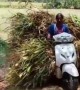 ಹೇಗೆ ನಮ್ಮ ಹಳ್ಳಿ ಹುಡುಗಿಯರು ...??