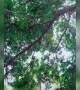 ನಿಮ್ಮ ಡುಮ್ಮ ಫ್ರೆಂಡ್ ಗೆ ಶೇರ್ ಮಾಡಿ ....!!