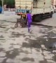 ಕೋತಿ ಸೈಕಲ್ ಹೊಡಿಸುತ್ತ ....??