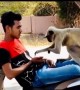 ಕೊನೆಯಲ್ಲಿ ಕೋತಿಗೂ ಬೇಜಾರ್ ಅಗೋಯ್ತು ...
