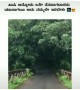 ಜಗತ್ತಿನ ಅತಿ ಸುಂದರ ಬಟ್ಟೆ ಪ್ರಕೃತಿಯ ಈ ಹಸಿರು .....