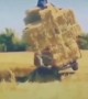 ಫನ್ನಿ ವೈರಲ್ ....!!