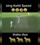 ವಿರಾಟ್ ಎಷ್ಟು ಜೋರಾಗಿ ಓಡ್ತಾರೆ ನೋಡಿ .....