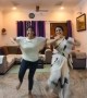 ಹೇಗಿದೆ ಅಮ್ಮ ಮಗಳ ಈ ಡಾನ್ಸ್ ....