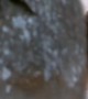 ಪರಮೇಶ್ವರ ಮಾಹೇಶ್ವರ..