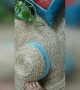 ಹೇಗಿದೆ ಈ ವಿಡಿಯೋ