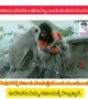 ದೇವರು ಎಲ್ಲರ ಪಾಲಿಗೂ ಇದ್ದಾನೆ