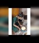ಬೇಡ ಬೇಡ ಕೆಣಕಲು ಬೇಡ