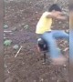 ಏನ್ ತರ್ಲೆ ಇದು ?